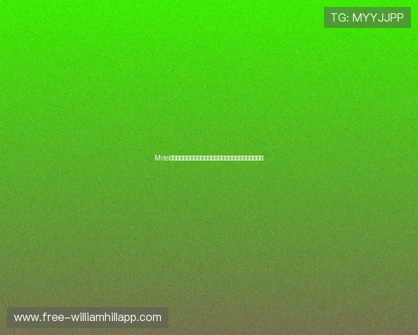 Mite娱乐版全部合成表在世界杯主题报道中的最佳实践与优化建议